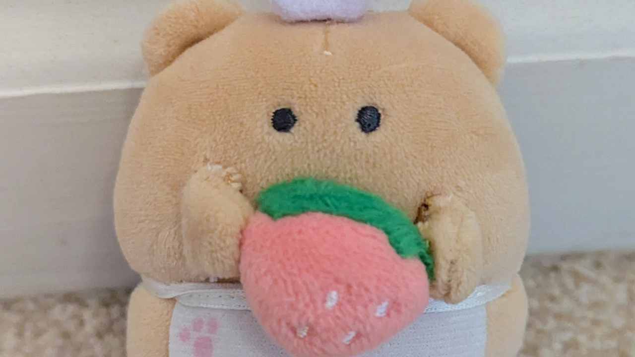 【初投稿】くまエプのブログ、スタート！