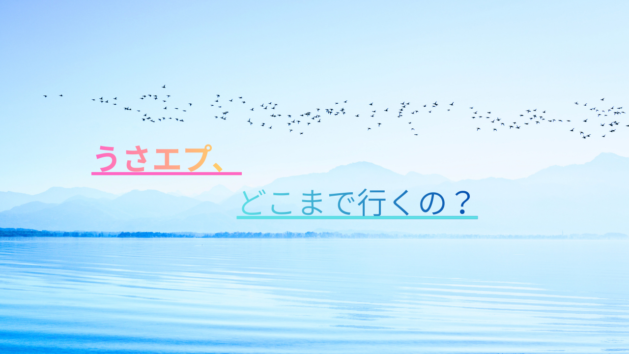【衝撃の8作目】どこまで行くの？うさエプ！